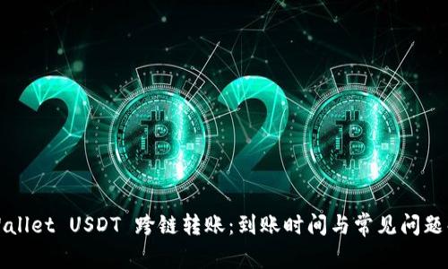 TPWallet USDT 跨链转账：到账时间与常见问题解析