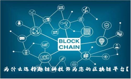 为什么选择趣链科技作为您的区块链平台？