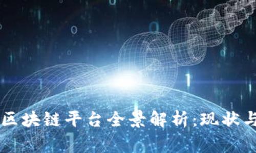 张家口市区块链平台全景解析：现状与未来展望