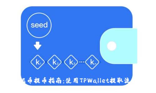 中国银币提币指南：使用TPWallet提取流程详解