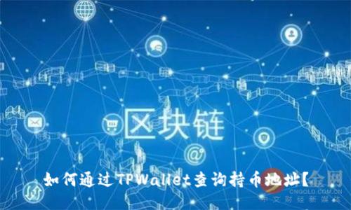 如何通过TPWallet查询持币地址？