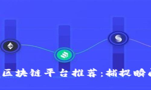 全球热门摄影区块链平台推荐：捕捉瞬间，交易无界限