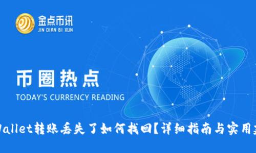 TPWallet转账丢失了如何找回？详细指南与实用建议