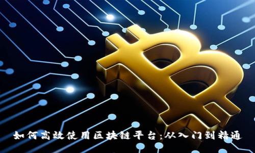 如何高效使用区块链平台：从入门到精通