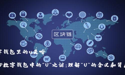 tp数字钱包里的u是啥

揭秘TP数字钱包中的“U”之谜：理解“U”的含义和背后价值