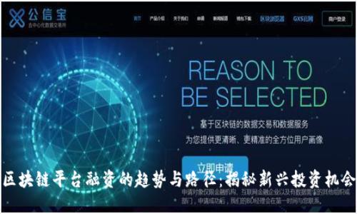 区块链平台融资的趋势与路径：揭秘新兴投资机会