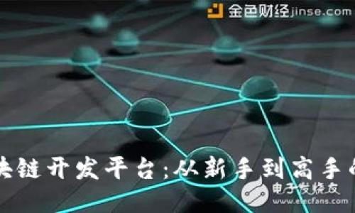 如何加入区块链开发平台：从新手到高手的全方位指南