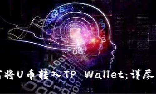 如何将U币转入TP Wallet：详尽指南