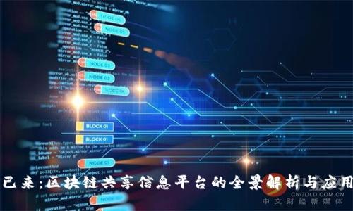 未来已来：区块链共享信息平台的全景解析与应用前景