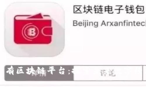 新加坡公有区块链平台：探索未来数字经济的基石