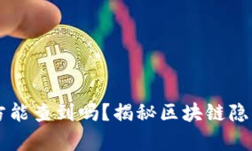 TPWallet收款方能查到吗？揭秘区块链隐私与安全的真相