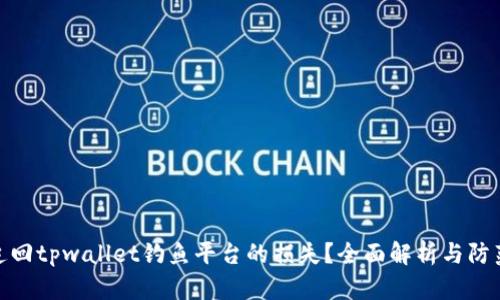 如何追回tpwallet钓鱼平台的损失？全面解析与防范措施