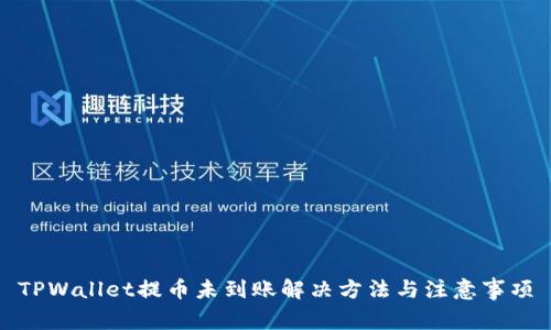 TPWallet提币未到账解决方法与注意事项