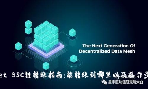 TPWallet BSC链转账指南：能转账到哪里以及操作步骤详解