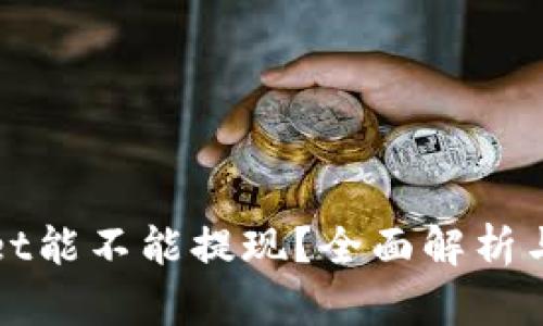 : TPWallet能不能提现？全面解析与用户指南
