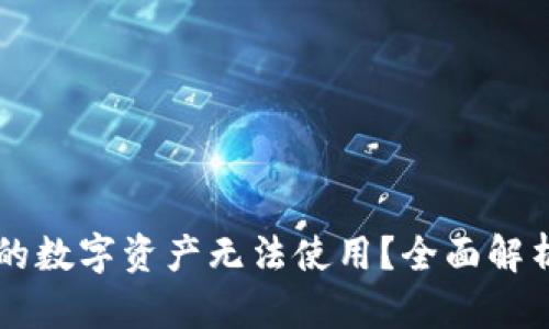 TPWallet中的数字资产无法使用？全面解析与解决方案