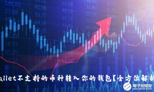 如何将TPWallet不支持的币种转入你的钱包？全方位解析及操作指南