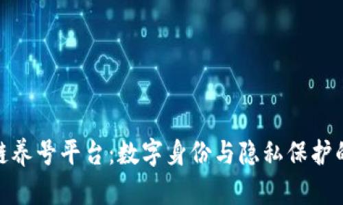 探索区块链养号平台：数字身份与隐私保护的未来之路