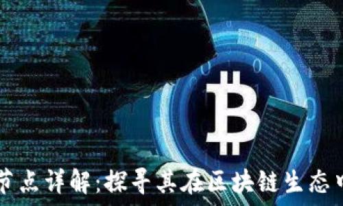   
TPWallet节点详解：探寻其在区块链生态中的重要性