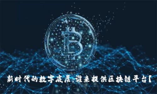 新时代的数字底层：谁来提供区块链平台？