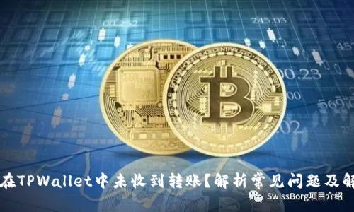为什么在TPWallet中未收到转账？解析常见问题及解决方案