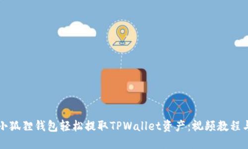 如何通过小狐狸钱包轻松提取TPWallet资产：视频教程与操作指南