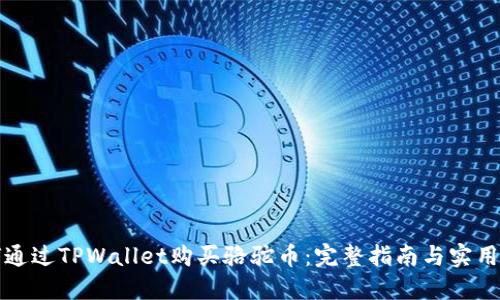 如何通过TPWallet购买骆驼币：完整指南与实用技巧