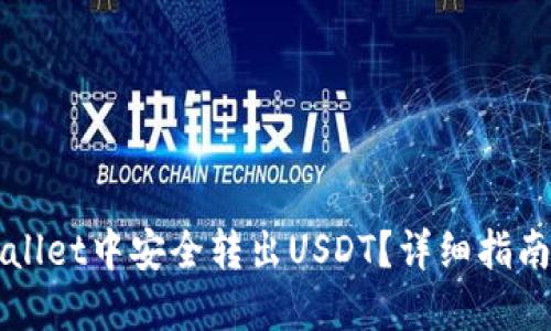 如何在TPWallet中安全转出USDT？详细指南与实用技巧