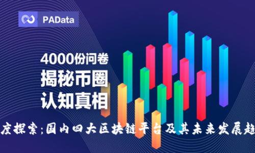深度探索：国内四大区块链平台及其未来发展趋势