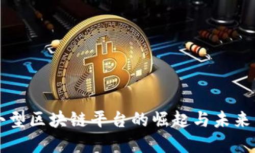中小型区块链平台的崛起与未来发展