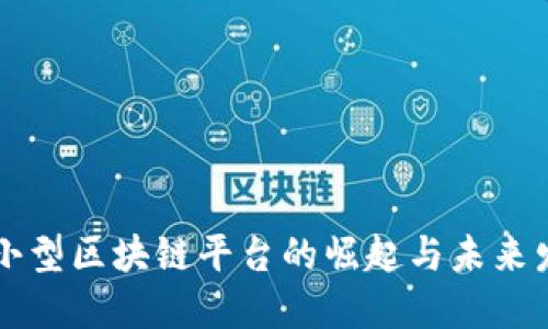 中小型区块链平台的崛起与未来发展