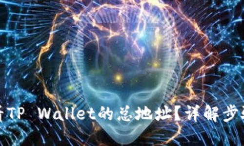 如何查看TP Wallet的总地址？详解步骤与技巧