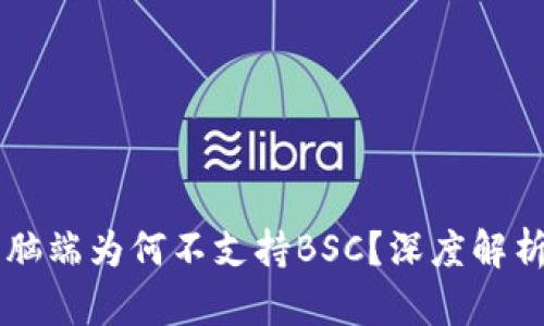 TPWallet电脑端为何不支持BSC？深度解析与解决方案