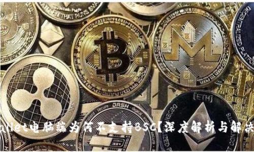 TPWallet电脑端为何不支持BSC？深度解析与解决方案