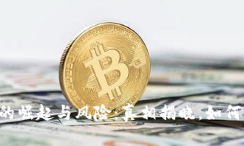TPWallet的崛起与风险：真相揭晓，如何识别骗局？