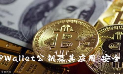 深入了解TPWallet公钥及其应用：安全钱包的基础